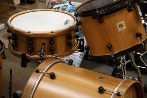 Ancient Tree Closeup