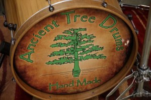 Ancient Tree Kick Logo